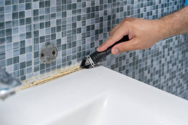 Best Mold Cleaning Services  in Romeo, MI